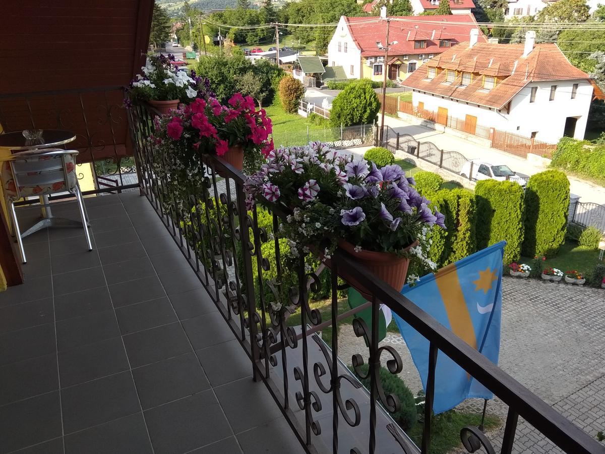 Anna Ilona Vendeghaz Hotel Badacsonytomaj Eksteriør billede