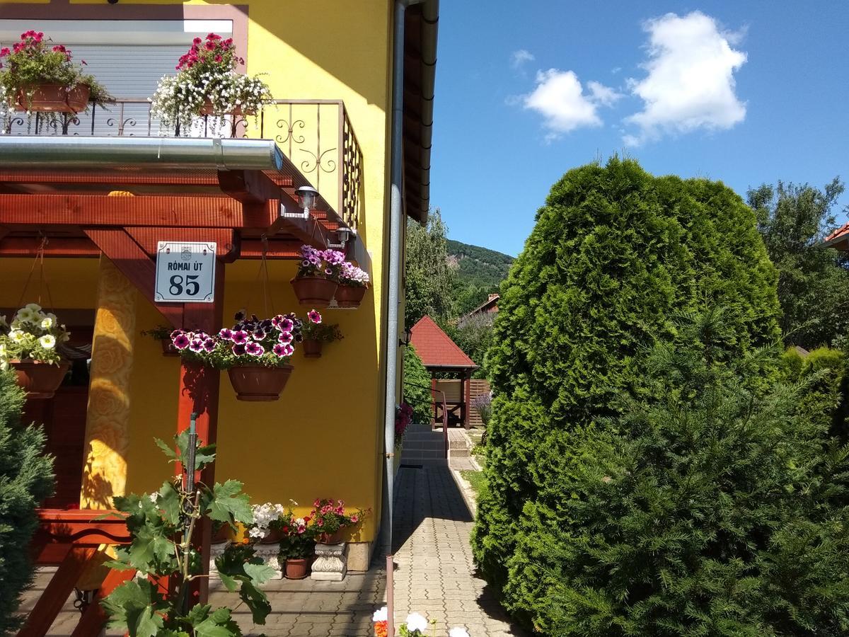 Anna Ilona Vendeghaz Hotel Badacsonytomaj Eksteriør billede